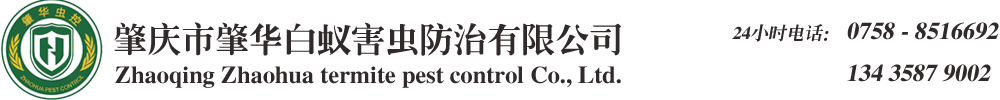 肇慶白蟻防治公司/肇慶殺蟲公司/肇慶白蟻防治中心/肇慶白蟻專家-肇慶市肇華白蟻害蟲防治有限公司 肇慶白蟻防治公司/肇慶殺蟲公司/肇慶白蟻防治中心/肇慶白蟻專家-肇慶市肇華白蟻害蟲防治有限公司